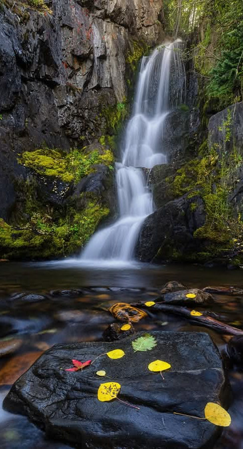 waterfall mount.jpg