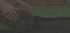 Hero Image- High Res.png