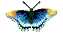 schmetterling-blau.gif