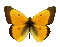 schmetterling.gif