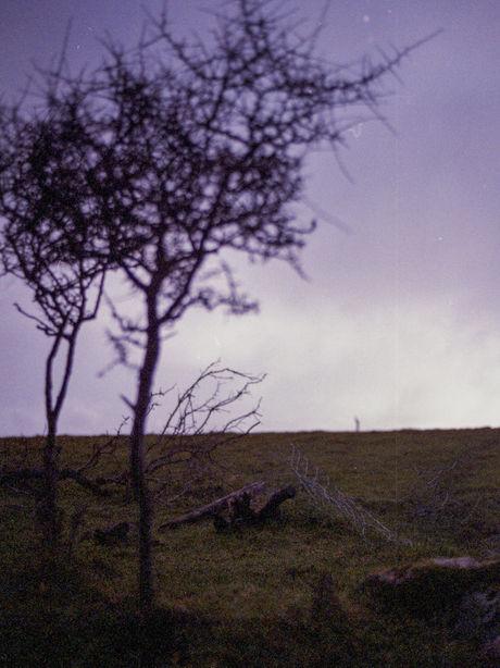 img024.jpg