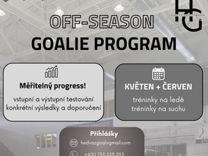 goalie off-season program