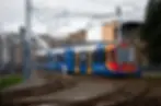 ree