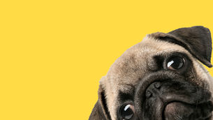 Light Rail news roundup 14th October 2022