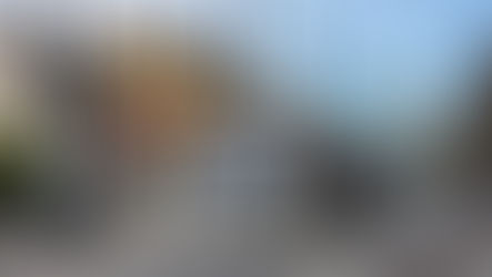 Meetings hear of networks rising to challenges