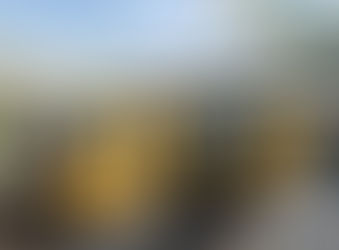 Light rail news round up 4th February 2021