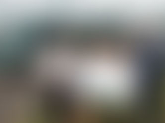 Tram operator backs terminal illness charter