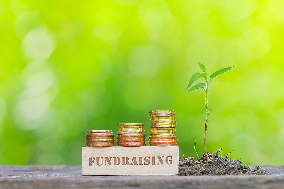 Fundraising Strategy for Non Profits and NGO