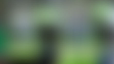 Group focuses on third-party disruption to light rail operations