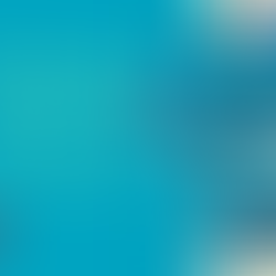 The Global Race for a COVID-19 Vaccine