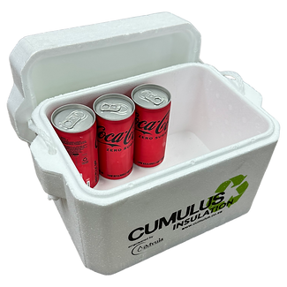 Polystyrene cooler box printed