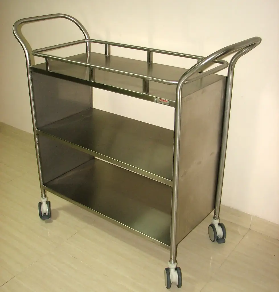 Catheter Wash Trolley/OT Bins Trolley SS