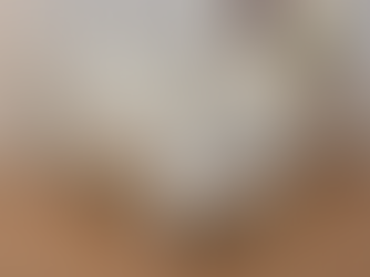 Dual Control 5-Function Electrical Premium Bed