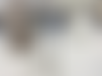 What Is Mayo’s Double Pole Trolley SS and Why Is It Essential in Hospitals?