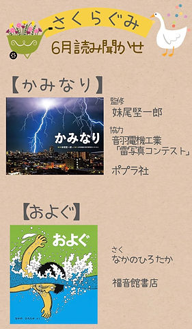 S__111861768.jpg