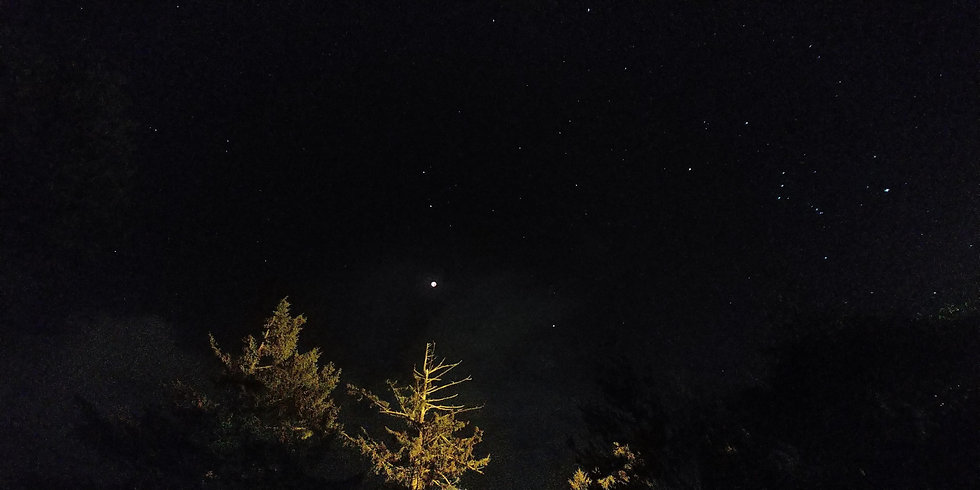 20190120_211349-01.jpeg