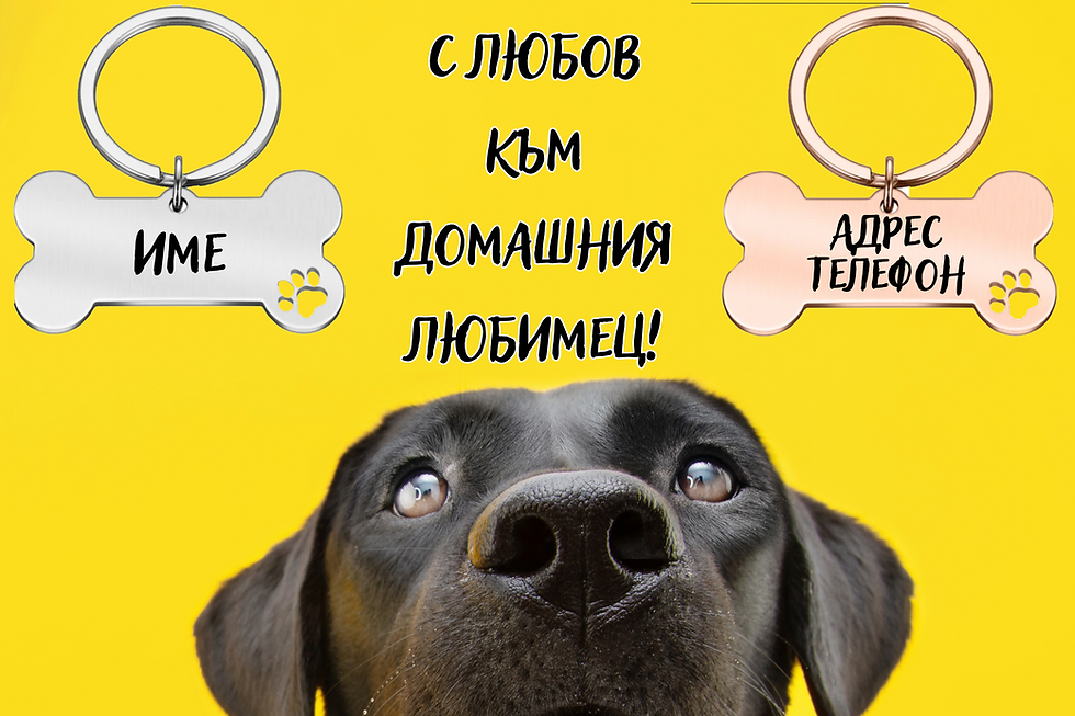 Миниатюра: домашен любимец, Гравиран, персонализиран таг медальон за куче неръждаема стомана ключодържател