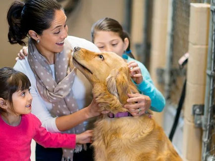 Hooves & Paws for a Cause Partners with Dogs Lover's Expo for Mega Dog Adoption Event