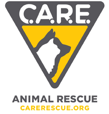 CARE LOGO copy.png