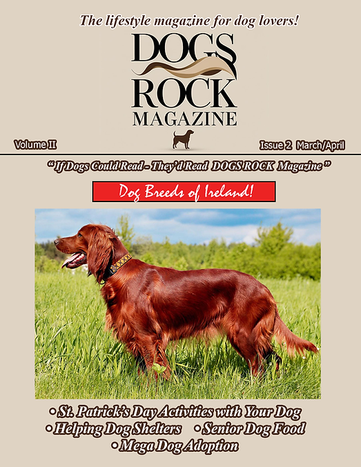 Front Cover copy.png
