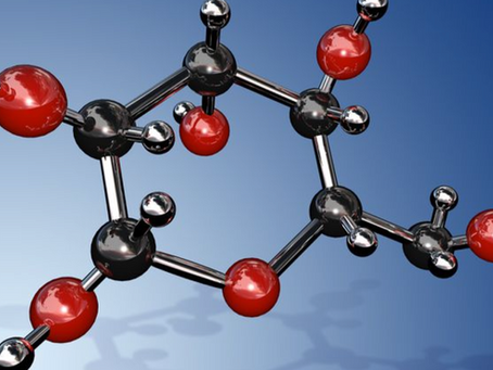 Nutrition impacts coaching outcomes