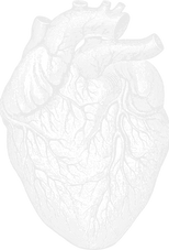 heart-7525978_1280_edited_edited.png
