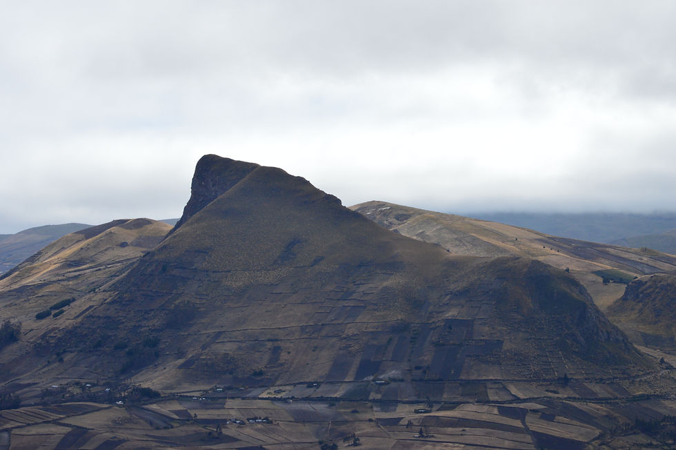 DSC_6303.JPG