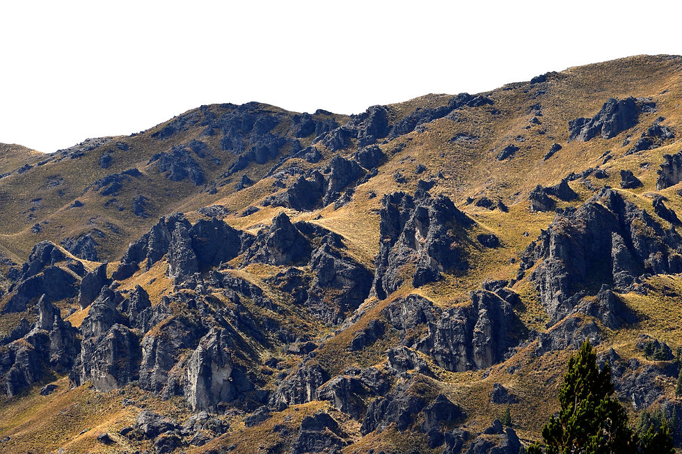 DSC_6308.JPG