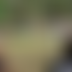 Drum Circle: The Perfect Employee Engagement Tool in Delhi NCR