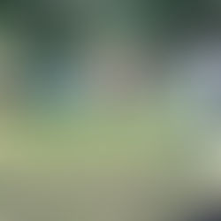 Why Mumbai’s Corporate Sector is Turning to Drum Circles for Employee Retention