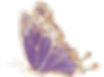 2_edited.png