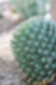 fyes_0015.jpg