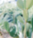 fyes_0260_edited.jpg