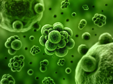 Disbiose: conceitos e impactos à saúde