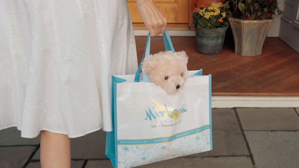 Thumbnail: woman holding gift bag with the mirbeau teddy bear in it