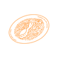 My project (64).png