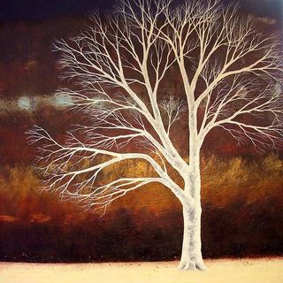 The Midnight Tree by Deborah Burrow