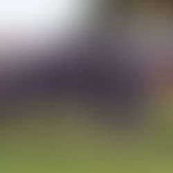 Football Update
