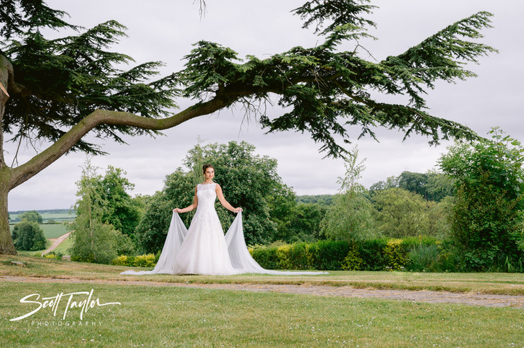 Bride in wedding dress-portrait-stood under large ancient tree-wedding photography