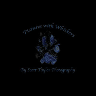 Writer: Scott Taylor