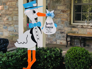The Stork Stop of Northern Virginia ~ Washington, D.C. ~ DC Stork Rental
