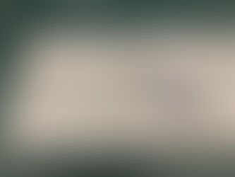 Rhode Island State Flower