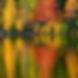 fall trees moving on water.jpg