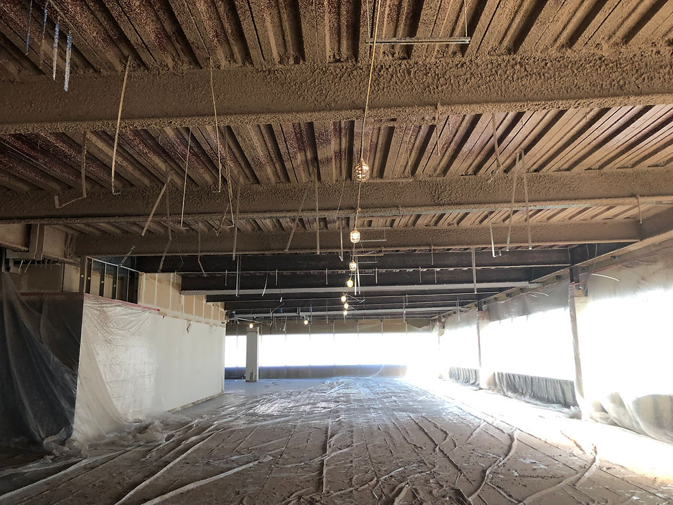 SPRAY APPLIED FIREPROOFING