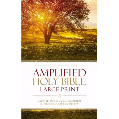 Thumbnail: AMPLIFIED HOLY BIBLE, COMPACT ZONDERVAN