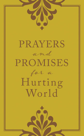 Prayers and Promises for a Hurting World
Laura Freudig