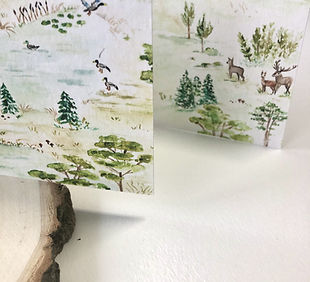 illustration aquarelle