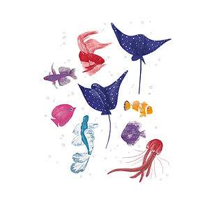 illustration digitale