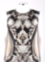 Thumbnail: Alexander McQueen Iconic Skeleton Dress
