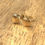Thumbnail: Solid Gold 9 carat Stud Earrings by Nyaki Punk Jewellery